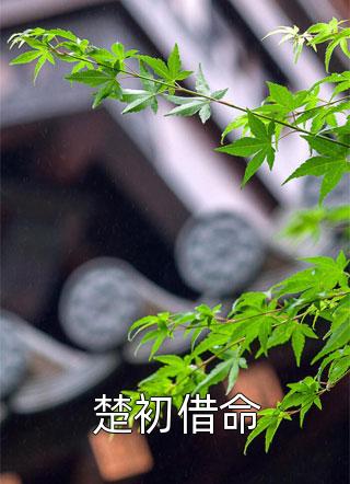 全文病逝离开，讨厌我的老公红眼了（季言琛果果）完整版小说阅读_全文病逝离开，讨厌我的老公红眼了全文免费阅读（季言琛果果）