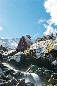 免费小说全本阅读荒野从空难走进娱乐圈(徐浪何老师)_荒野从空难走进娱乐圈徐浪何老师免费小说全本