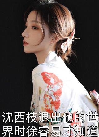 系统最后一关我穿成了白莲花沈眠陆知瑶免费完结小说_无弹窗免费阅读系统最后一关我穿成了白莲花沈眠陆知瑶